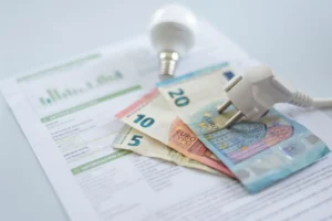 contrat d'electricite et impact économique sur la vie des personnes en france